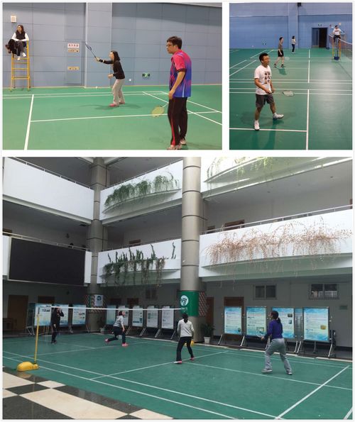 羽毛球比赛.jpg